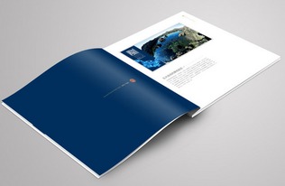 画册印刷设计的基本原则与图文制作精要