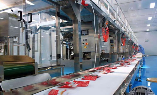 科学规划与精细实施 食品工厂车间排水沟的图文设计制作指南