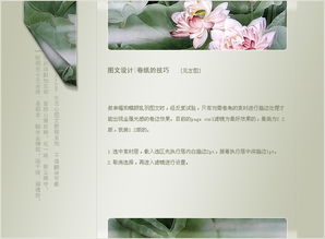 PS图文中常用元素的设计方法 打造视觉吸引力